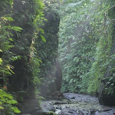 Pramana Giri Kusuma Hotel Payangan Kültér fotó
